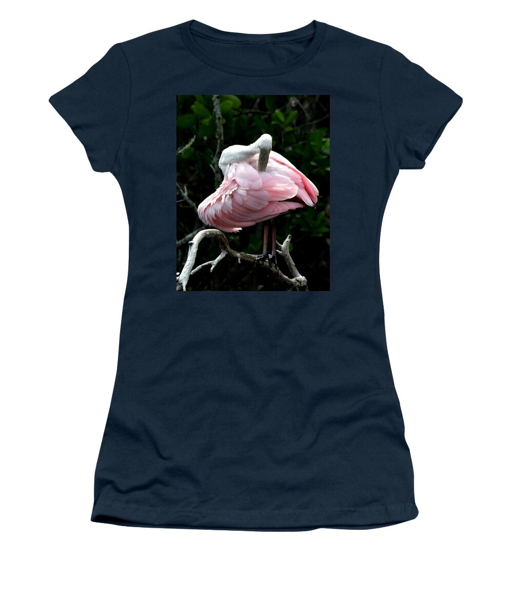Roseate Spoonbill Women's T-Shirt featuring the photograph Pretty in Pink #1 by Jim Bennight