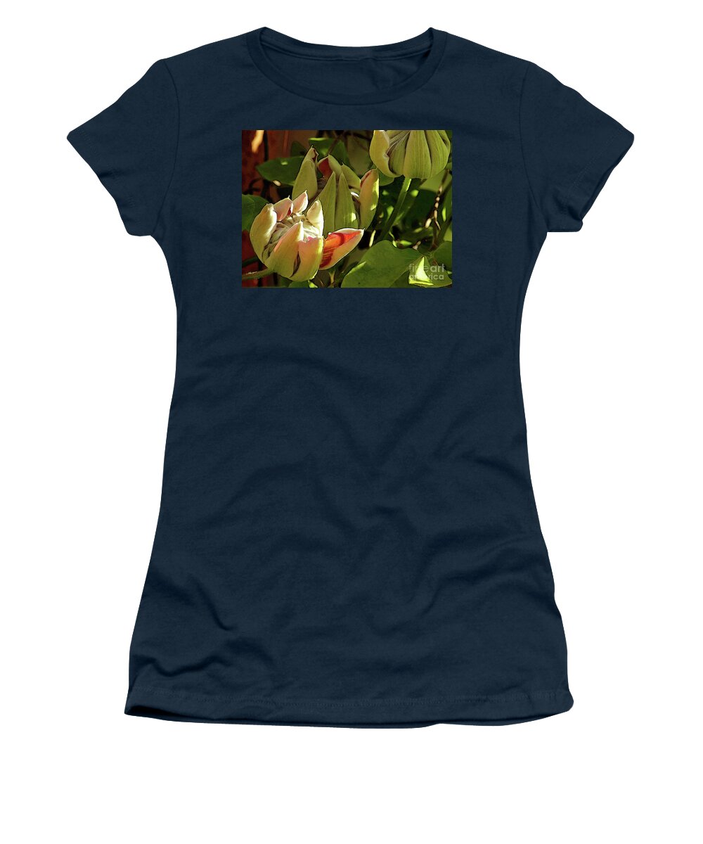 Clematis Women's T-Shirt featuring the photograph Pretty Josephine 6 by Kim Tran