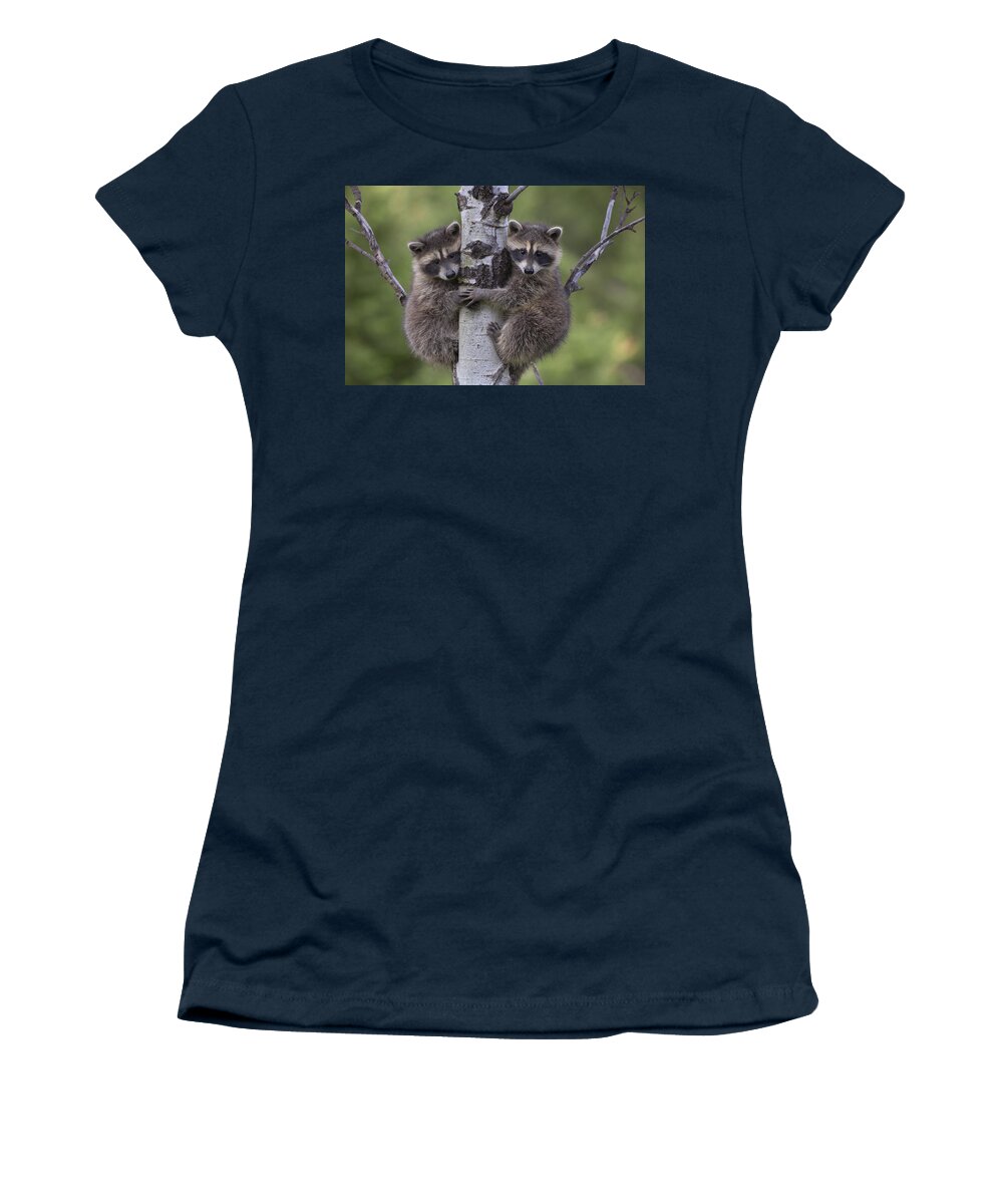00176520 Women's T-Shirt featuring the photograph Raccoon Two Babies Climbing Tree by Tim Fitzharris