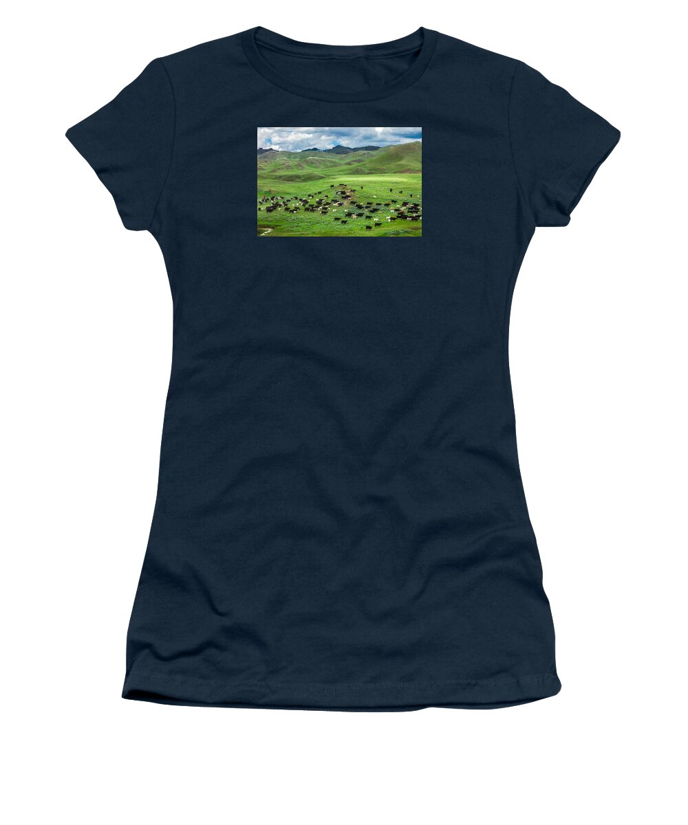 Cattle Women's T-Shirt featuring the photograph Salt and Pepper by Todd Klassy