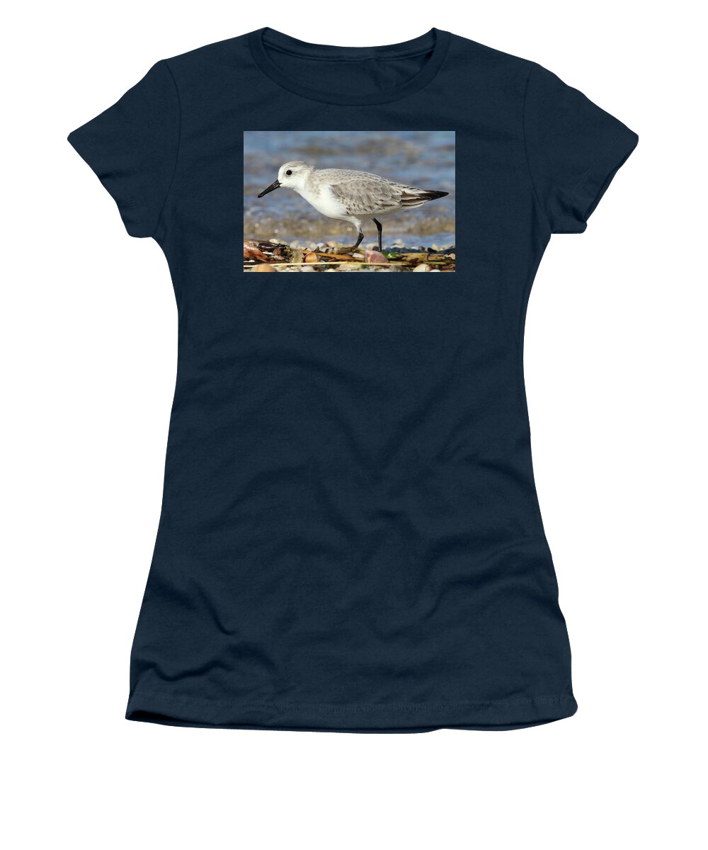 Sanderling Women's T-Shirt featuring the photograph Sanderling Westhampton New York #1 by Bob Savage
