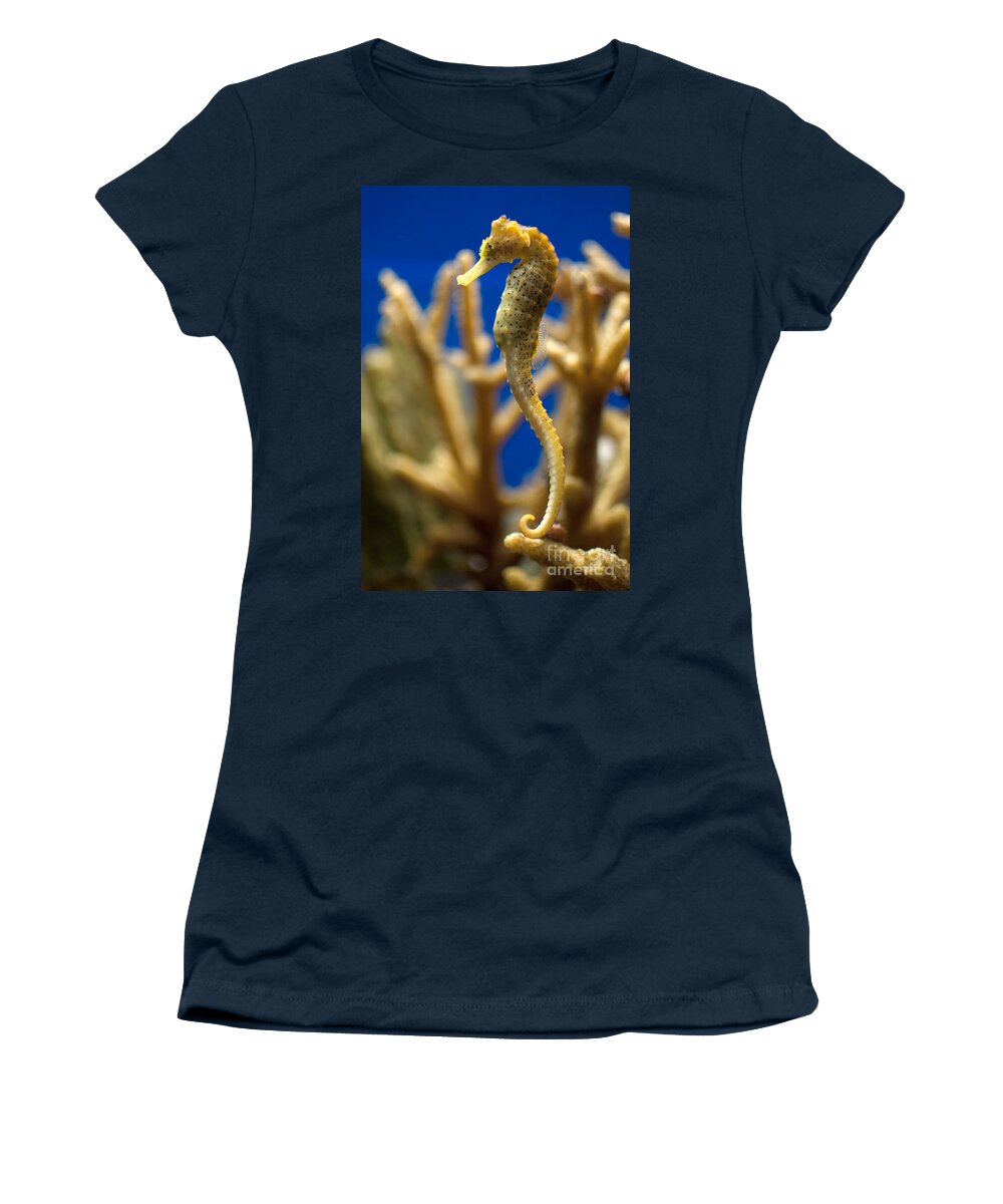 Aquarium Women's T-Shirt featuring the digital art Sea Horses #1 by Carol Ailles