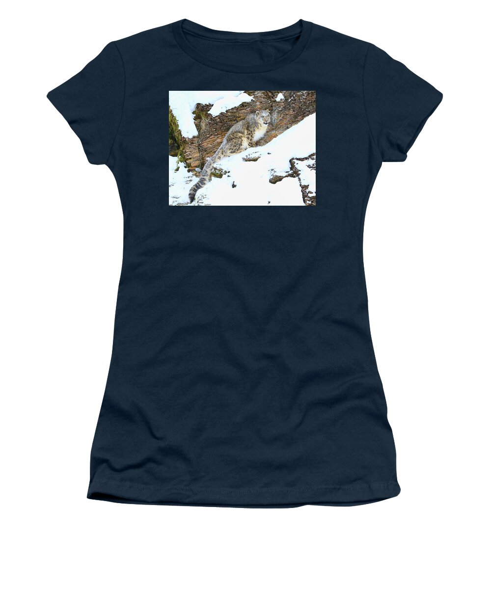 Snow Leopard Women's T-Shirt featuring the photograph Snow Leopard #1 by Steve McKinzie