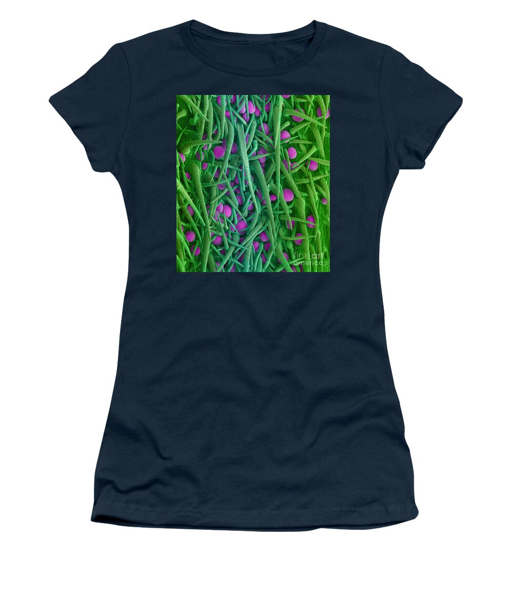 Biological Women's T-Shirt featuring the photograph Stem of Marijuana Plant, SEM #1 by Ted Kinsman
