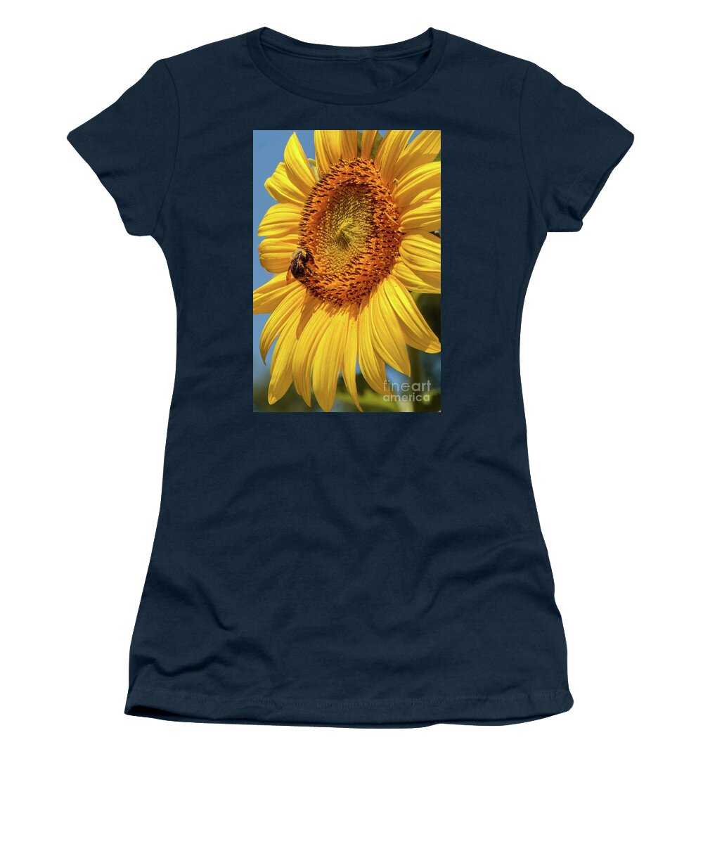 Beshers Women's T-Shirt featuring the photograph Sunflowers in Bloom #1 by Thomas Marchessault