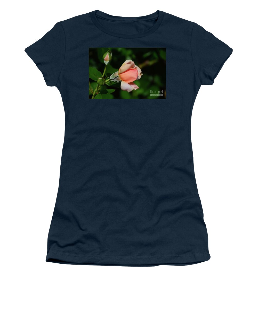Roses Women's T-Shirt featuring the photograph The Visitor #1 by Cindy Manero