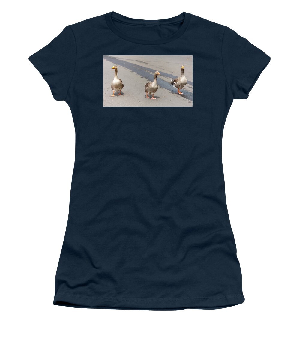 Geese Women's T-Shirt featuring the photograph Three Geese #1 by Timothy Anable