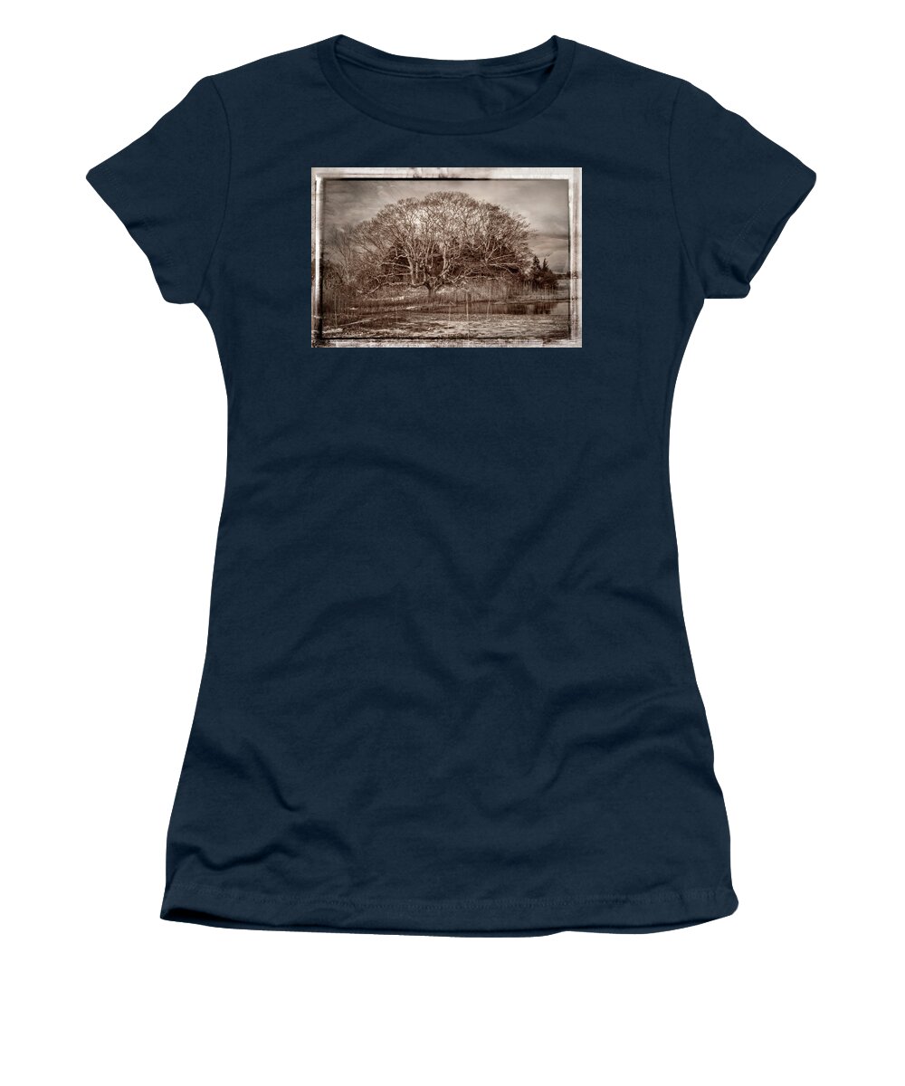 Black And White Women's T-Shirt featuring the photograph Tree in Marsh #1 by Frank Winters