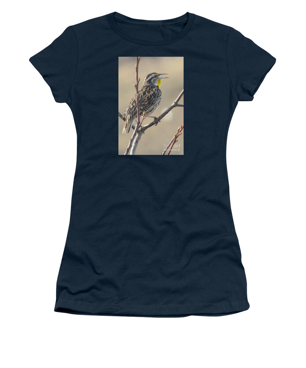 Western Meadowlark Women's T-Shirt featuring the photograph Western meadowlark #2 by Frank Townsley