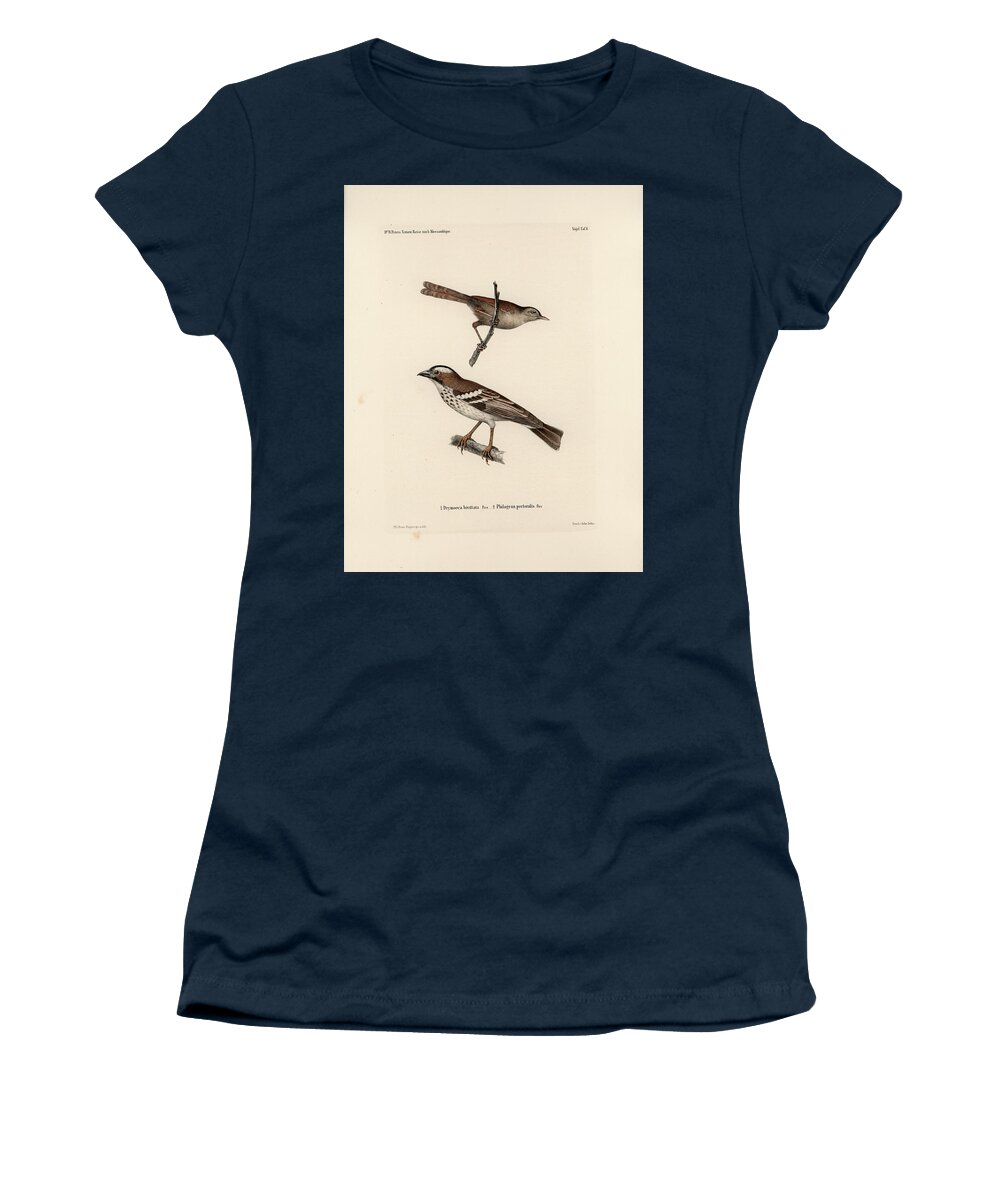 Birds Women's T-Shirt featuring the drawing White-browed Sparrow-weaver and Grass or Bush Warbler #1 by J D L Franz Wagner
