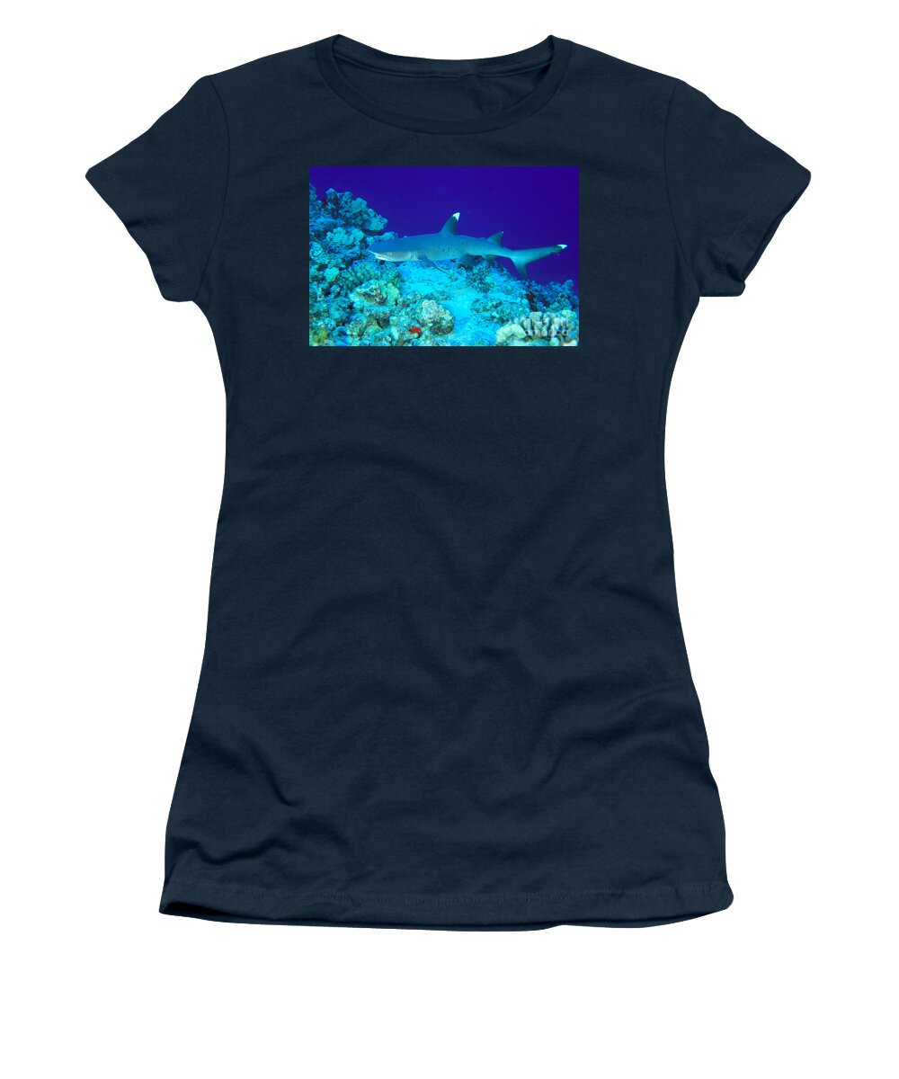 Above Women's T-Shirt featuring the photograph Whitetip Reef Shark #1 by Dave Fleetham - Printscapes