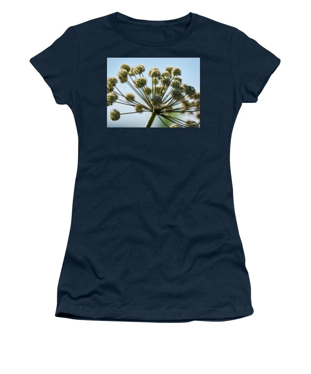 Jouko Lehto Women's T-Shirt featuring the photograph Wild Angelica #1 by Jouko Lehto