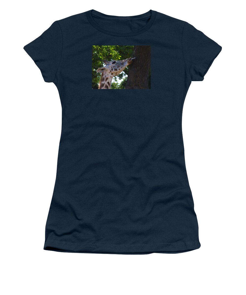 Zoo Women's T-Shirt featuring the photograph Zoo Scapes #10 by Jean Wolfrum