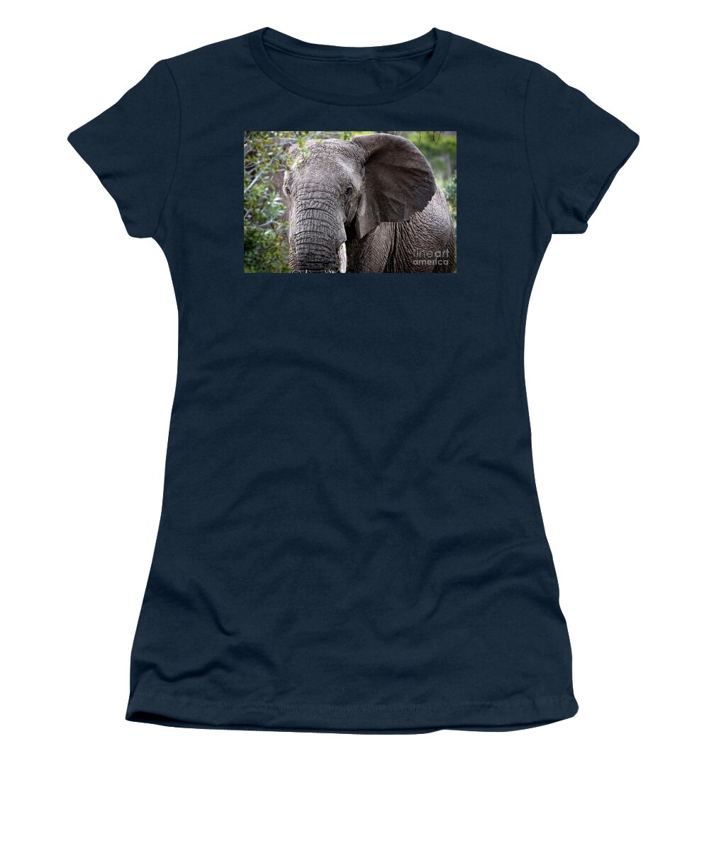 Africa Women's T-Shirt featuring the photograph 1047 African Elephant by Steve Sturgill
