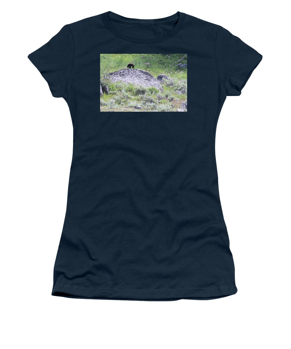 American Black Bear Women's T-Shirt featuring the photograph American Black Bear Yellowstone USA #2 by Bob Savage