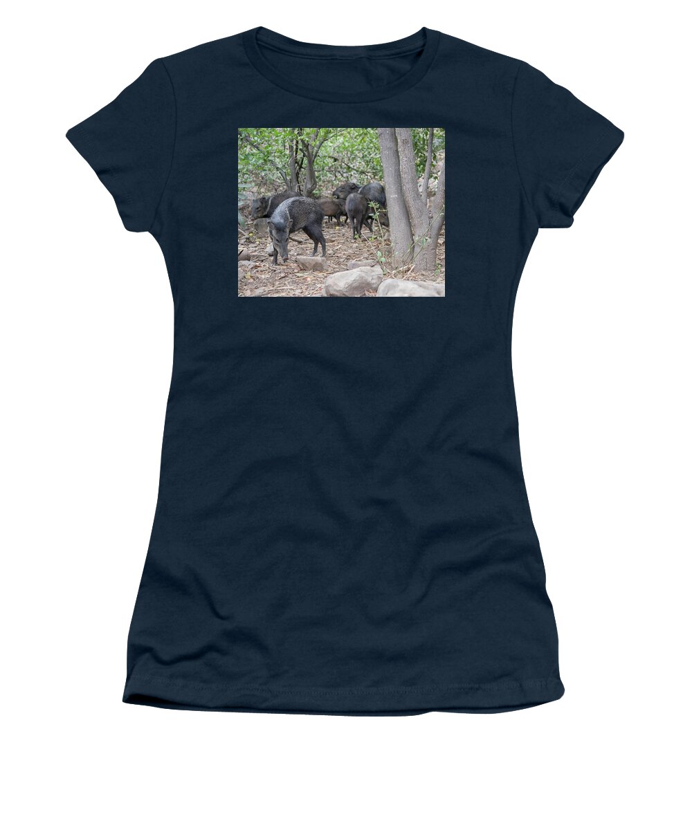 Animals Women's T-Shirt featuring the digital art Collared Peccary #2 by Carol Ailles