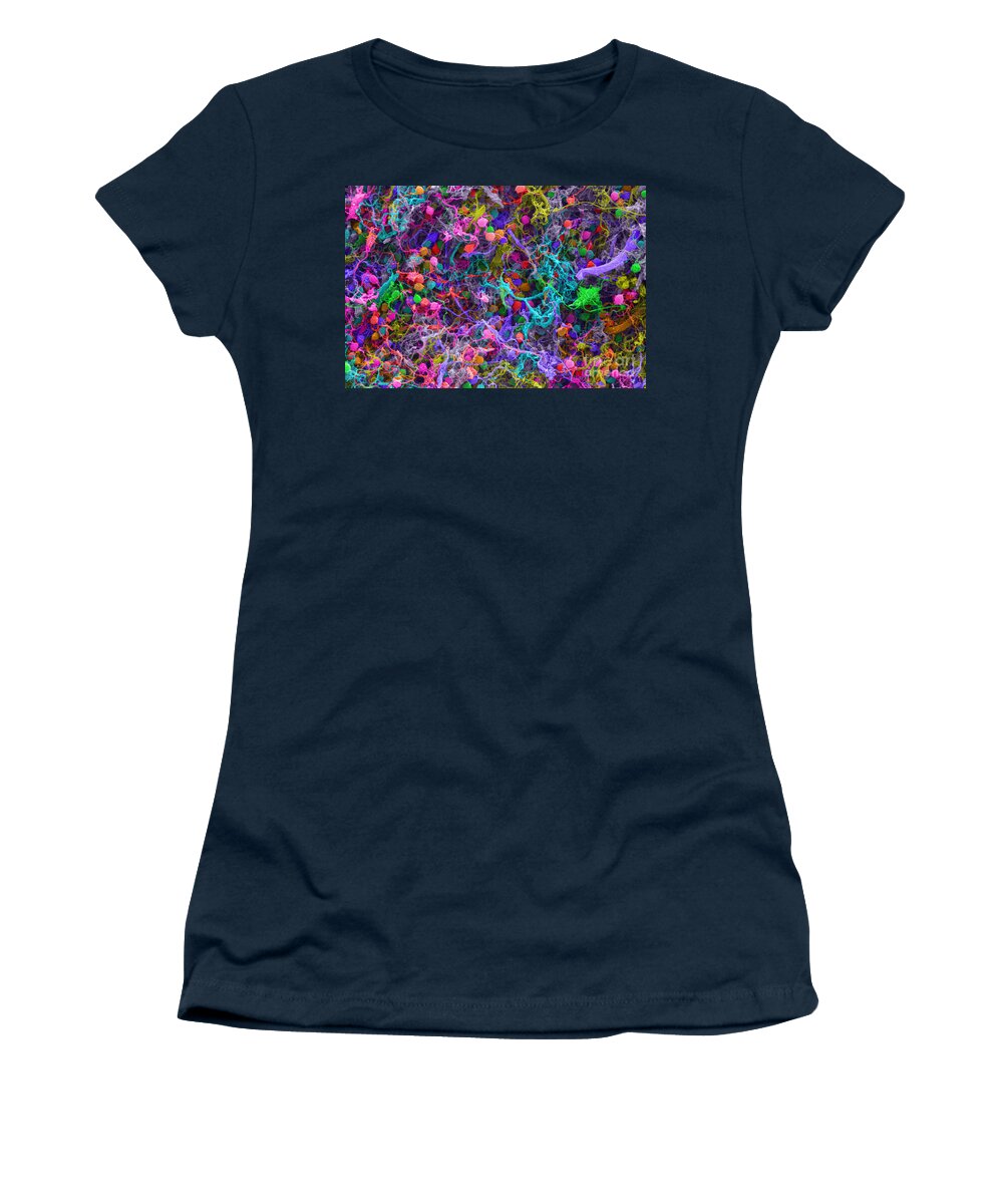 Neuron Women's T-Shirt featuring the photograph Human Brain Cells, Sem #5 by Ted Kinsman