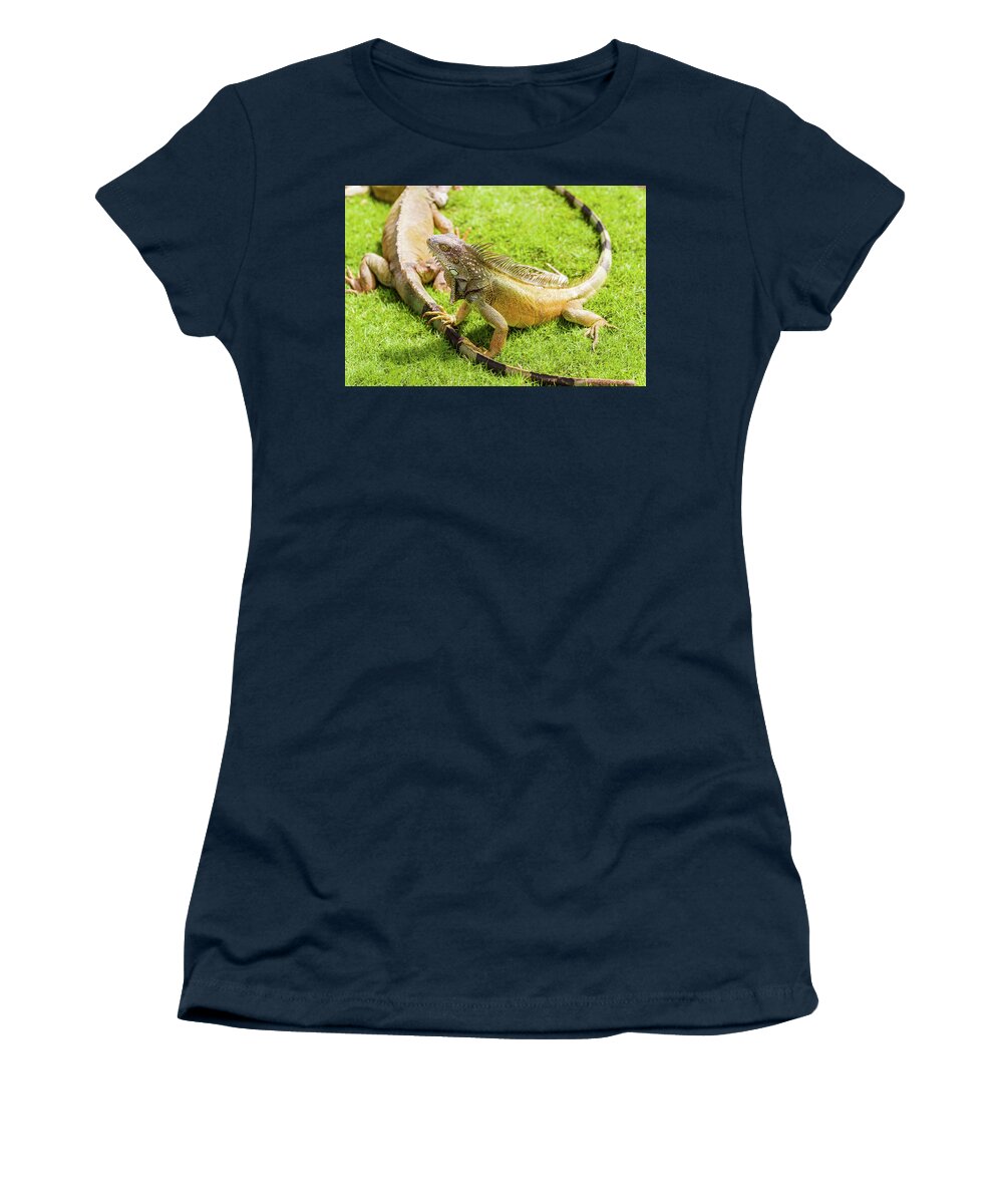 Iguana Women's T-Shirt featuring the photograph Iguanas at the Iguana park in downtown of Guayaquil, Ecuador. #2 by Marek Poplawski
