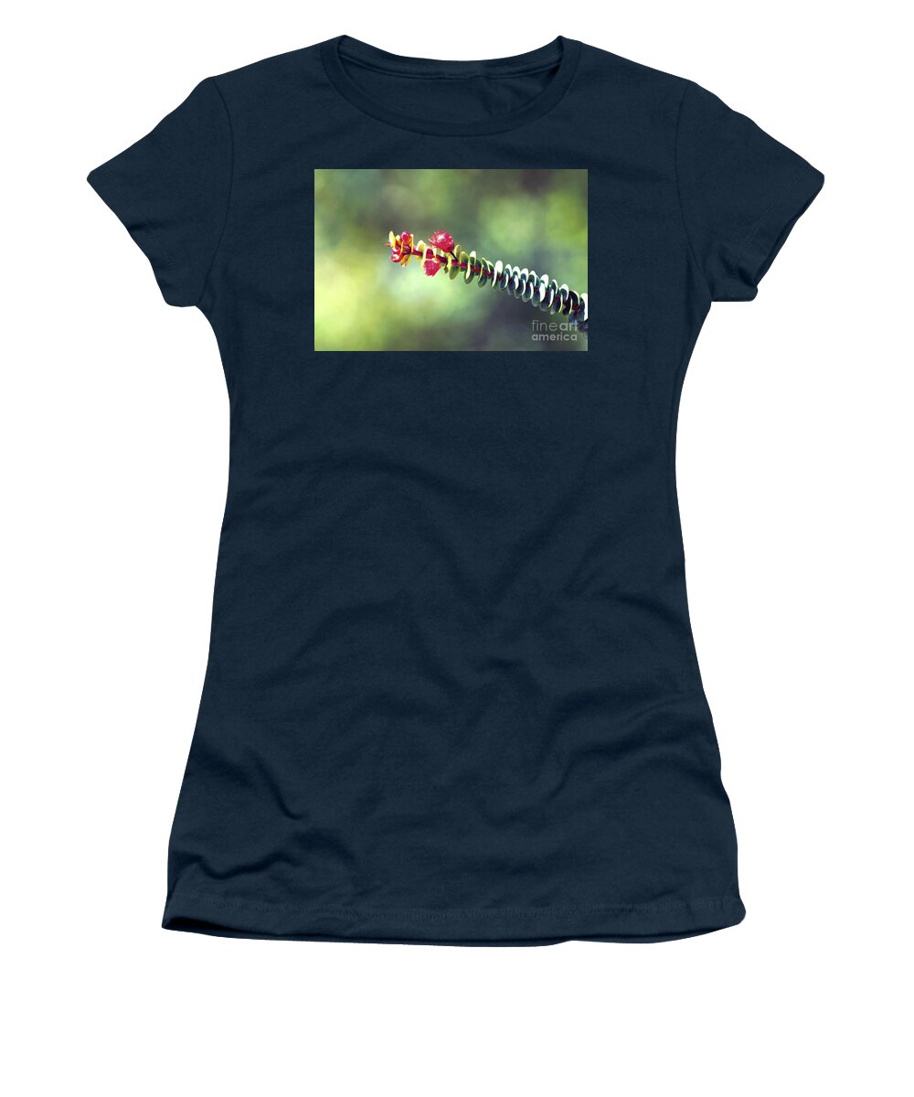 Flower Women's T-Shirt featuring the photograph Kings Park VI #2 by Cassandra Buckley