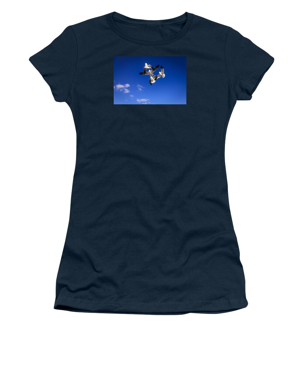 Leucophaeus Atricilla Women's T-Shirt featuring the photograph Laughing Gulls #2 by Alexey Stiop