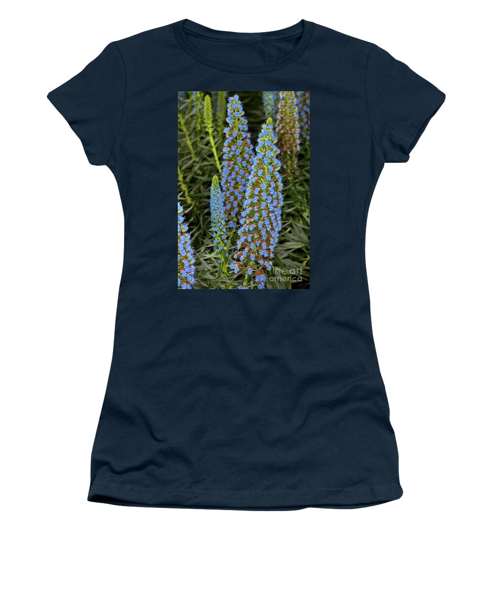 Echium Candicans Women's T-Shirt featuring the photograph Select Blue Pride-of-Madeira #2 by Anthony Totah