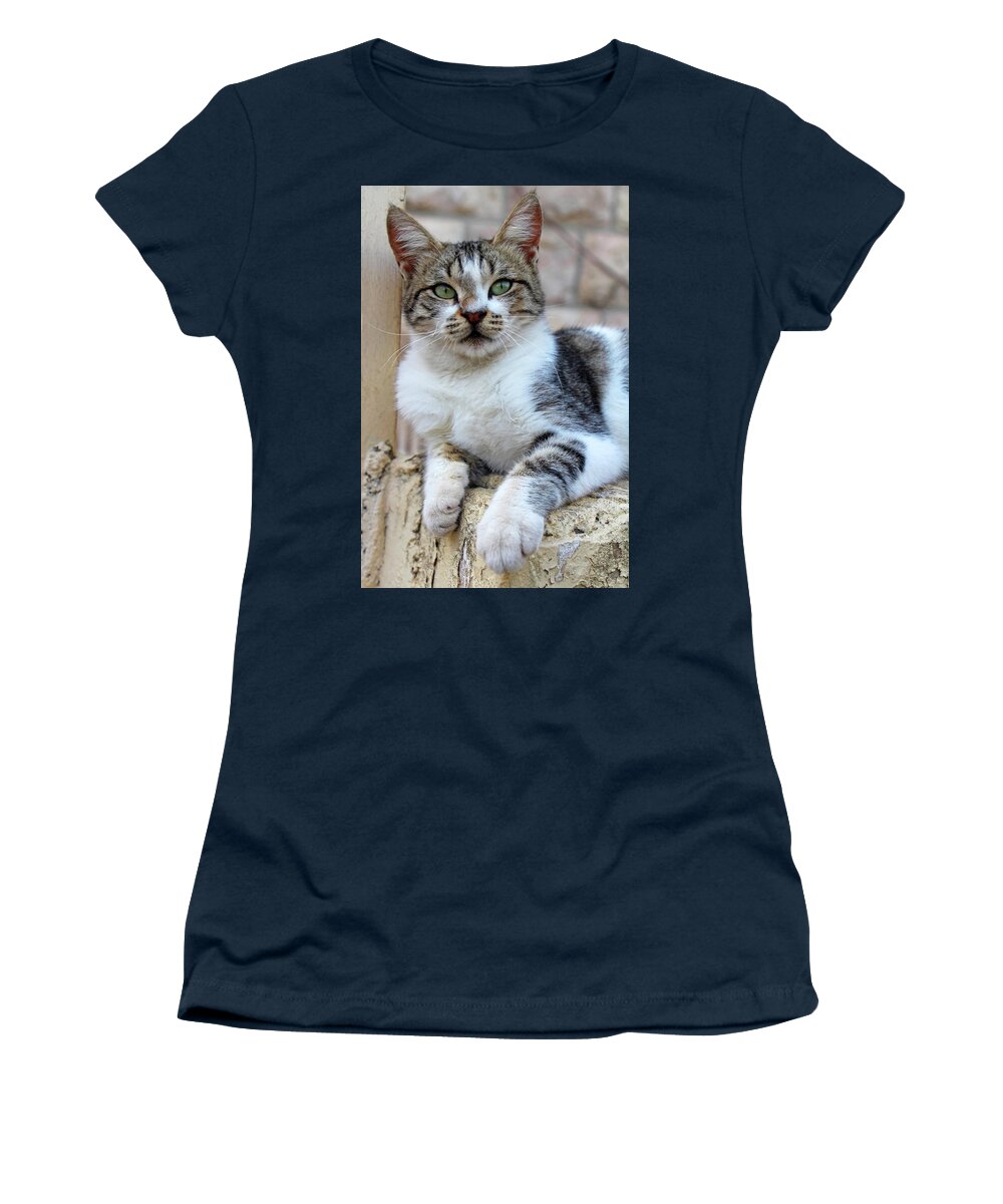 Cat Women's T-Shirt featuring the photograph The Wait #2 by Munir Alawi