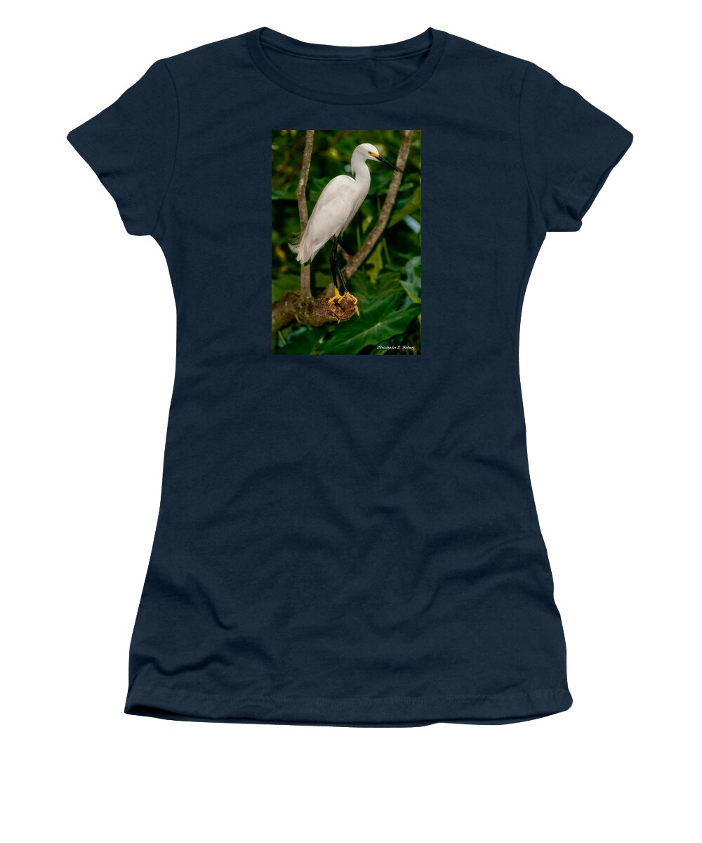 Christopher Holmes Photography Women's T-Shirt featuring the photograph White Egret by Christopher Holmes