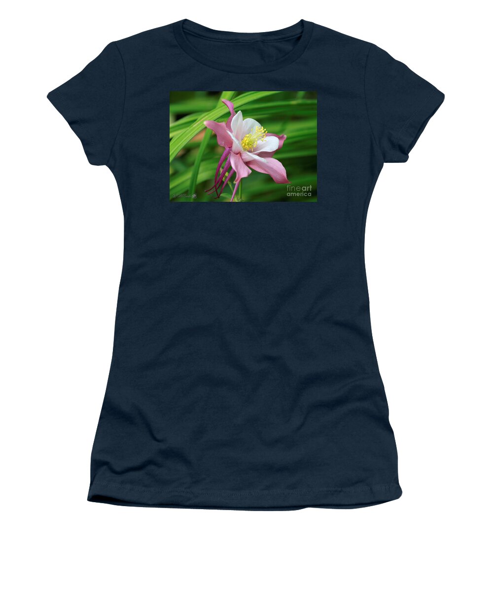 Mccombie Women's T-Shirt featuring the photograph Columbine from the Songbird Series named Robin #5 by J McCombie