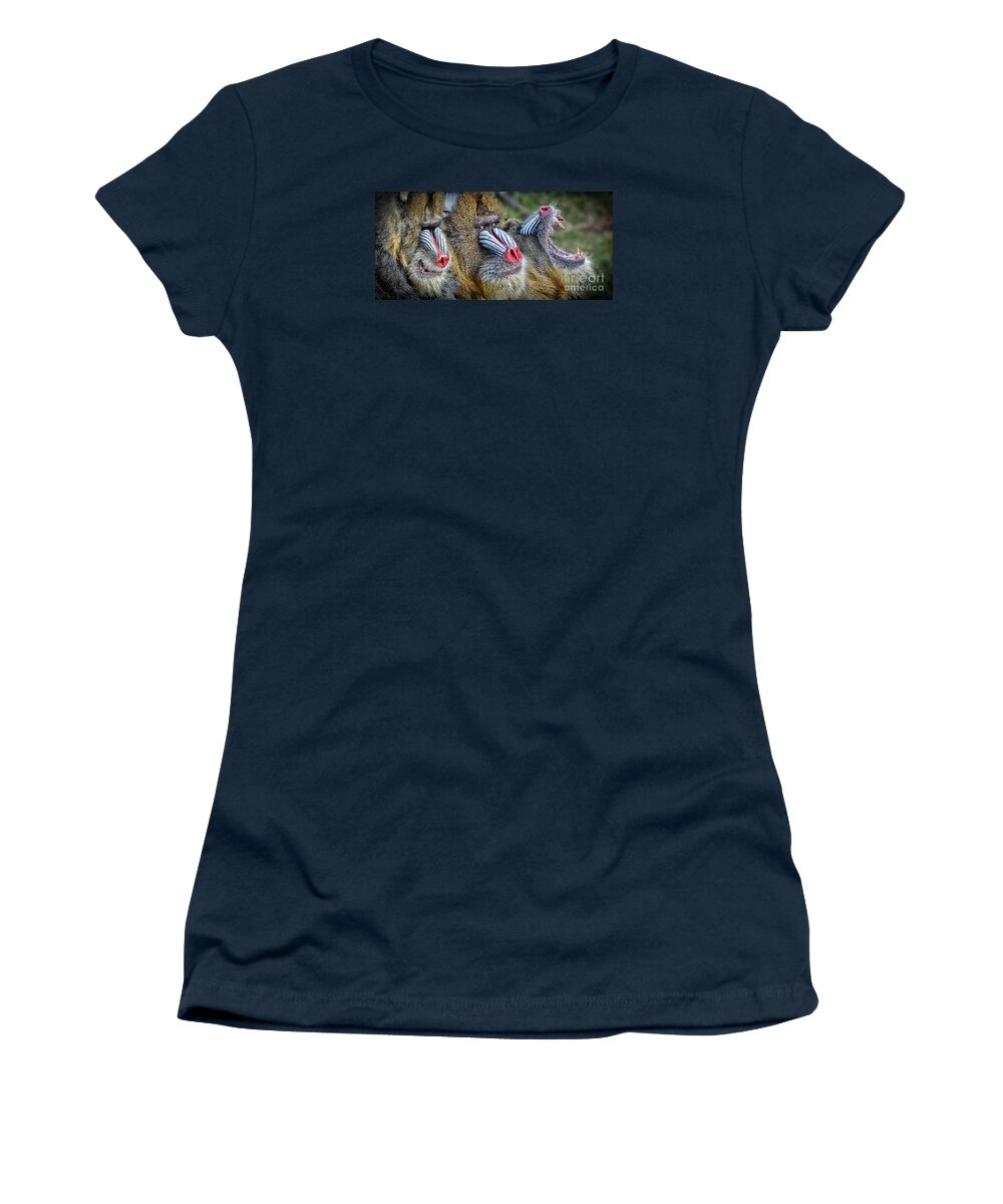 Mandrill Women's T-Shirt featuring the photograph 3 Male Mandrills by Jim Fitzpatrick
