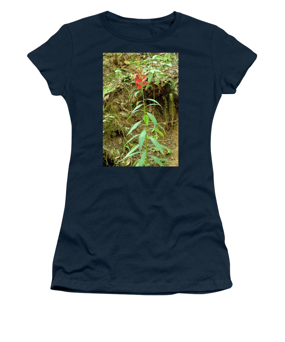 Angiosperms Women's T-Shirt featuring the photograph Cardinal Flower #5 by Richard Leighton