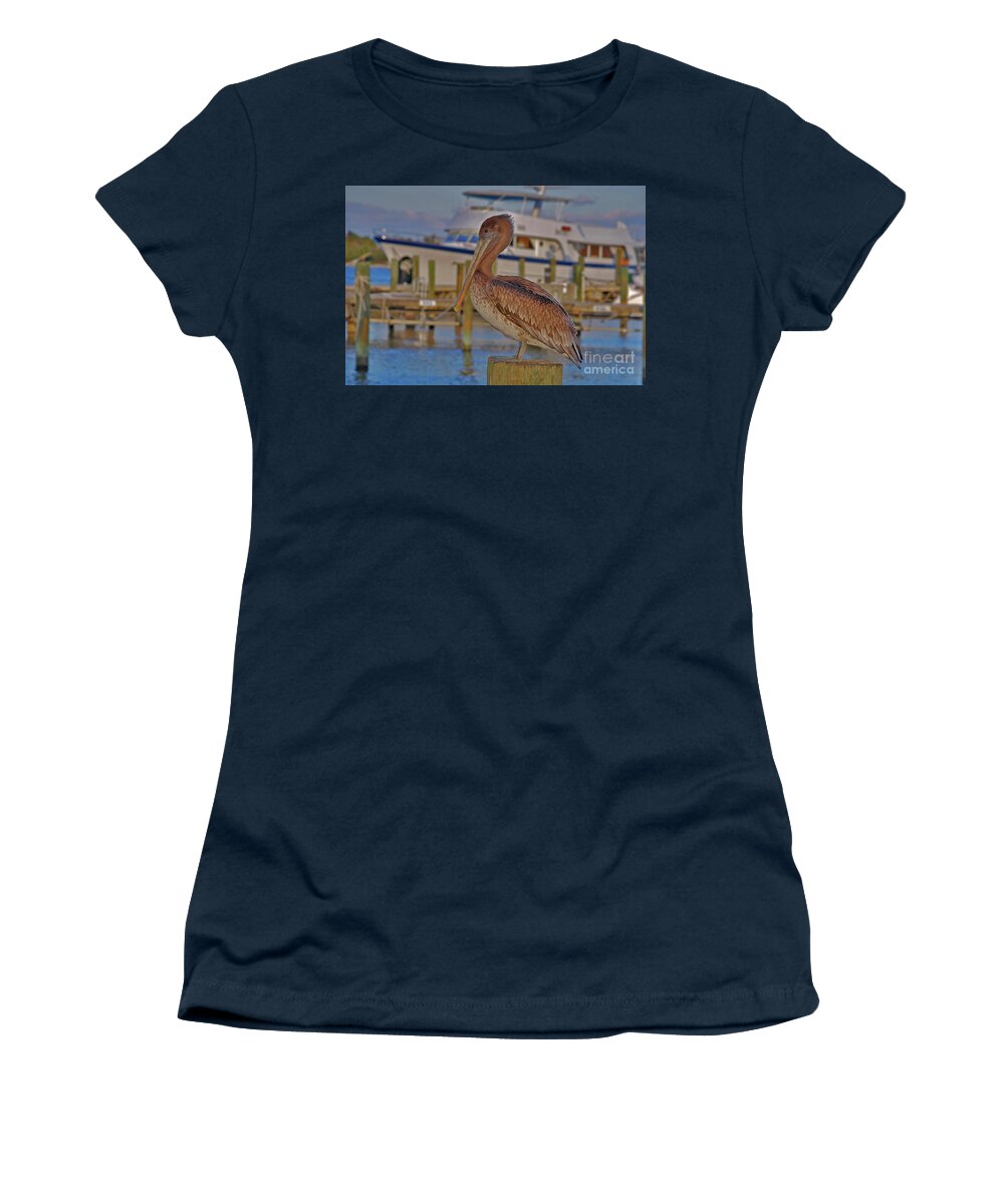 Brown Pelican Women's T-Shirt featuring the photograph 8- Brown Pelican by Joseph Keane