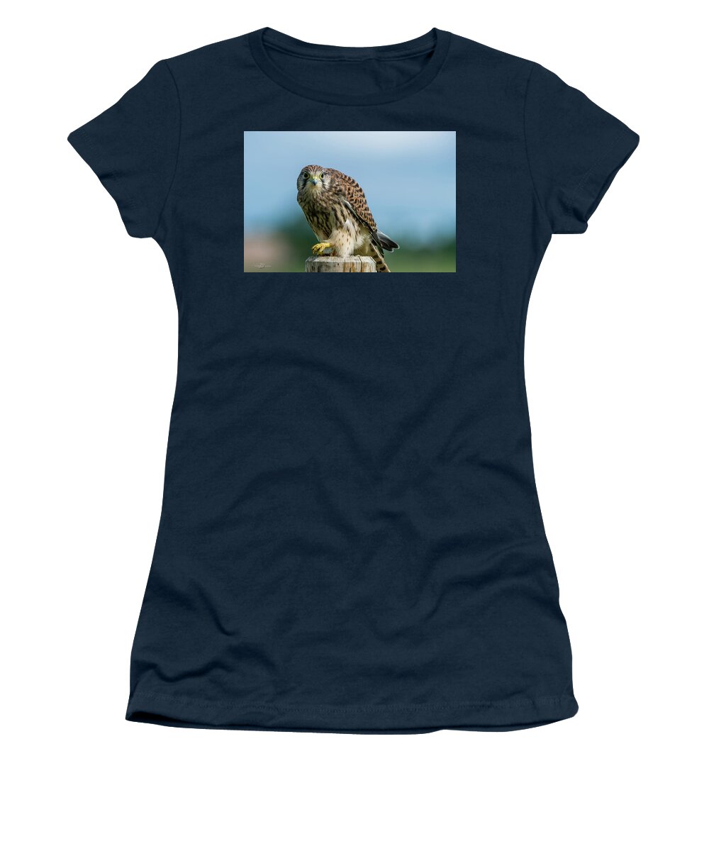 Kestrel Women's T-Shirt featuring the photograph A beautiful young kestrel looking behind you by Torbjorn Swenelius