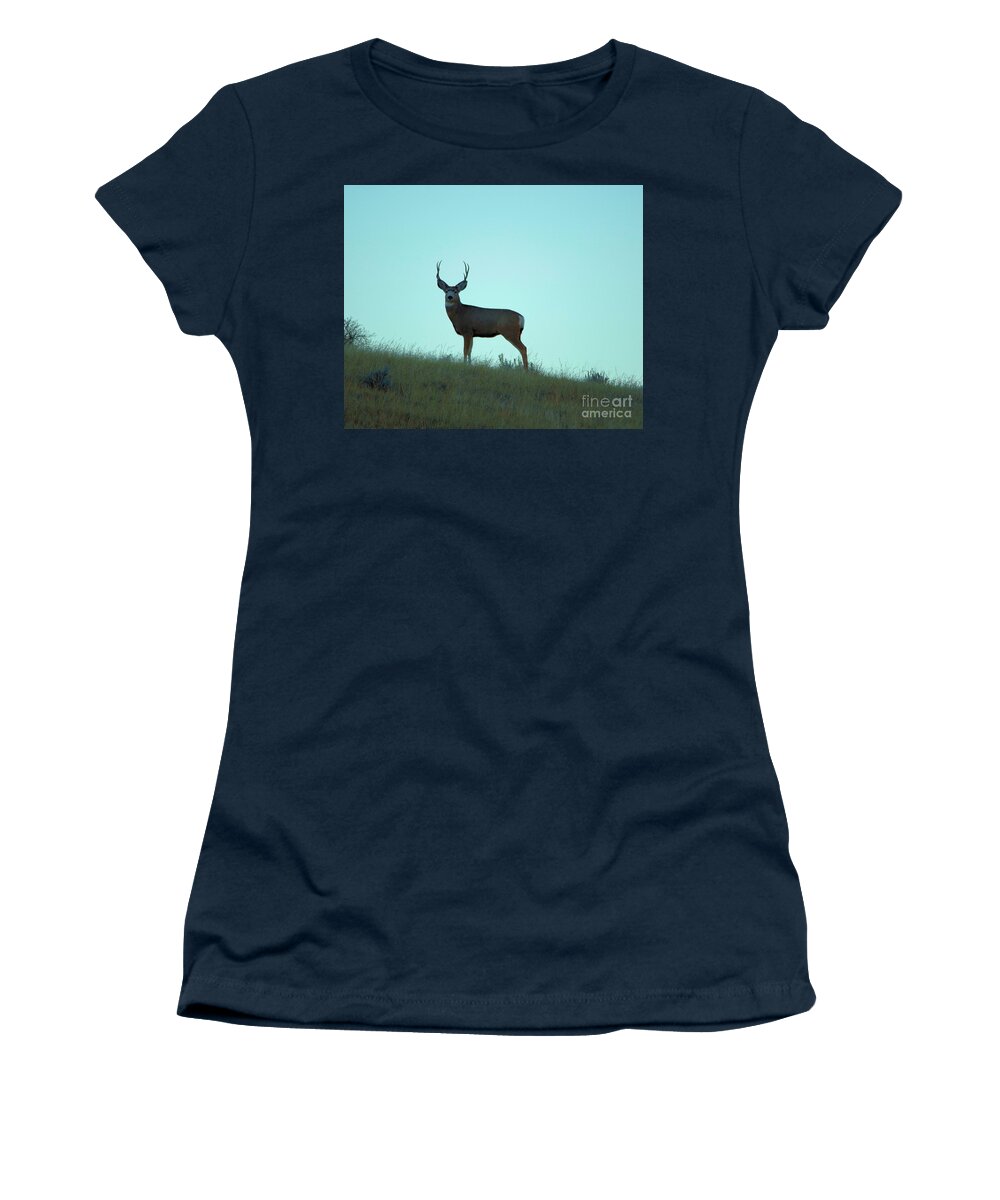 Deer Women's T-Shirt featuring the photograph A buck gazes back by Jeff Swan