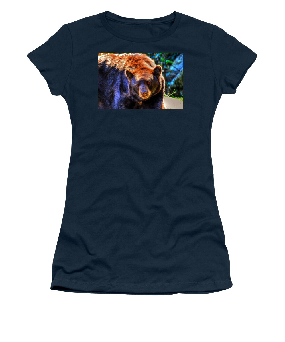Black Bear Women's T-Shirt featuring the photograph A Curious Black Bear by Don Mercer