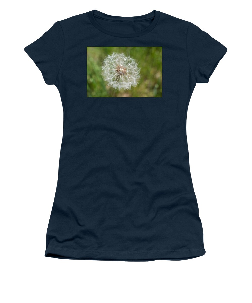 Terry D Photography Women's T-Shirt featuring the photograph A Dandelion by Terry DeLuco