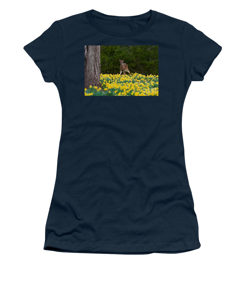 Doe Women's T-Shirt featuring the photograph A Deer and Daffodils II by Douglas Stucky