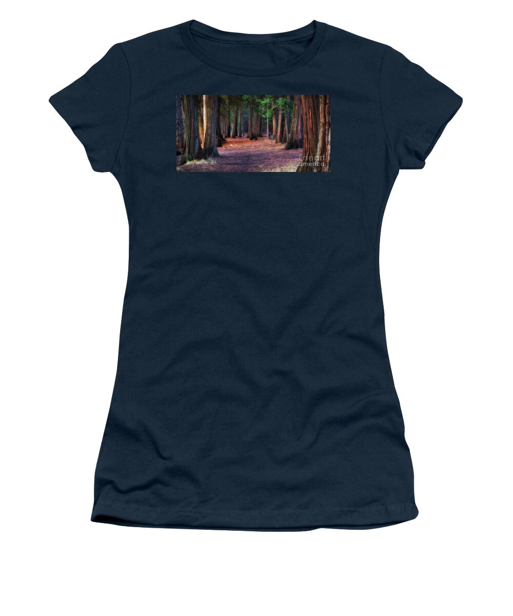 Yosemite National Park Women's T-Shirt featuring the photograph A Path of Redwoods by Anthony Michael Bonafede
