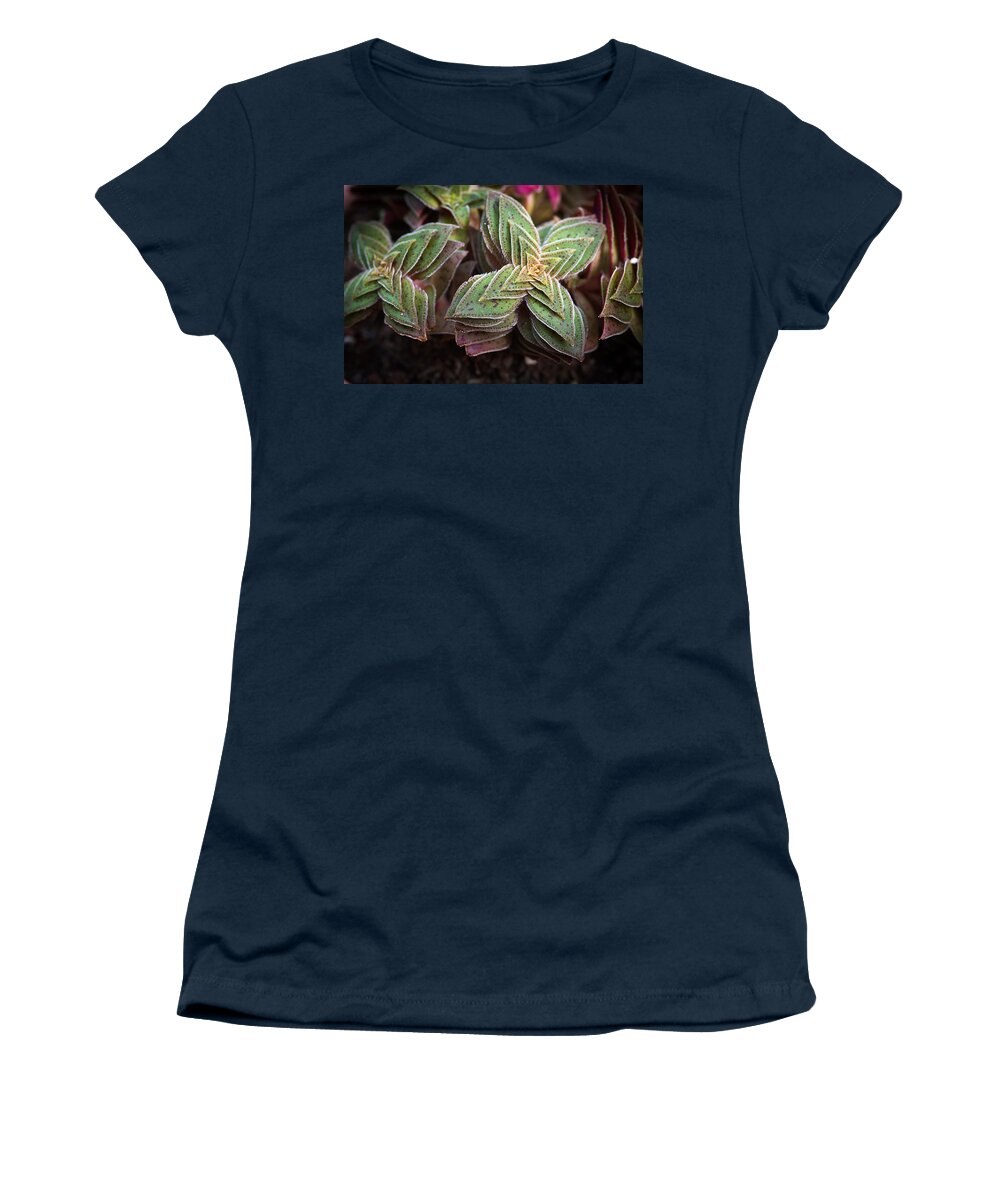 Succulent Women's T-Shirt featuring the photograph A Succulent Plant by Catherine Lau