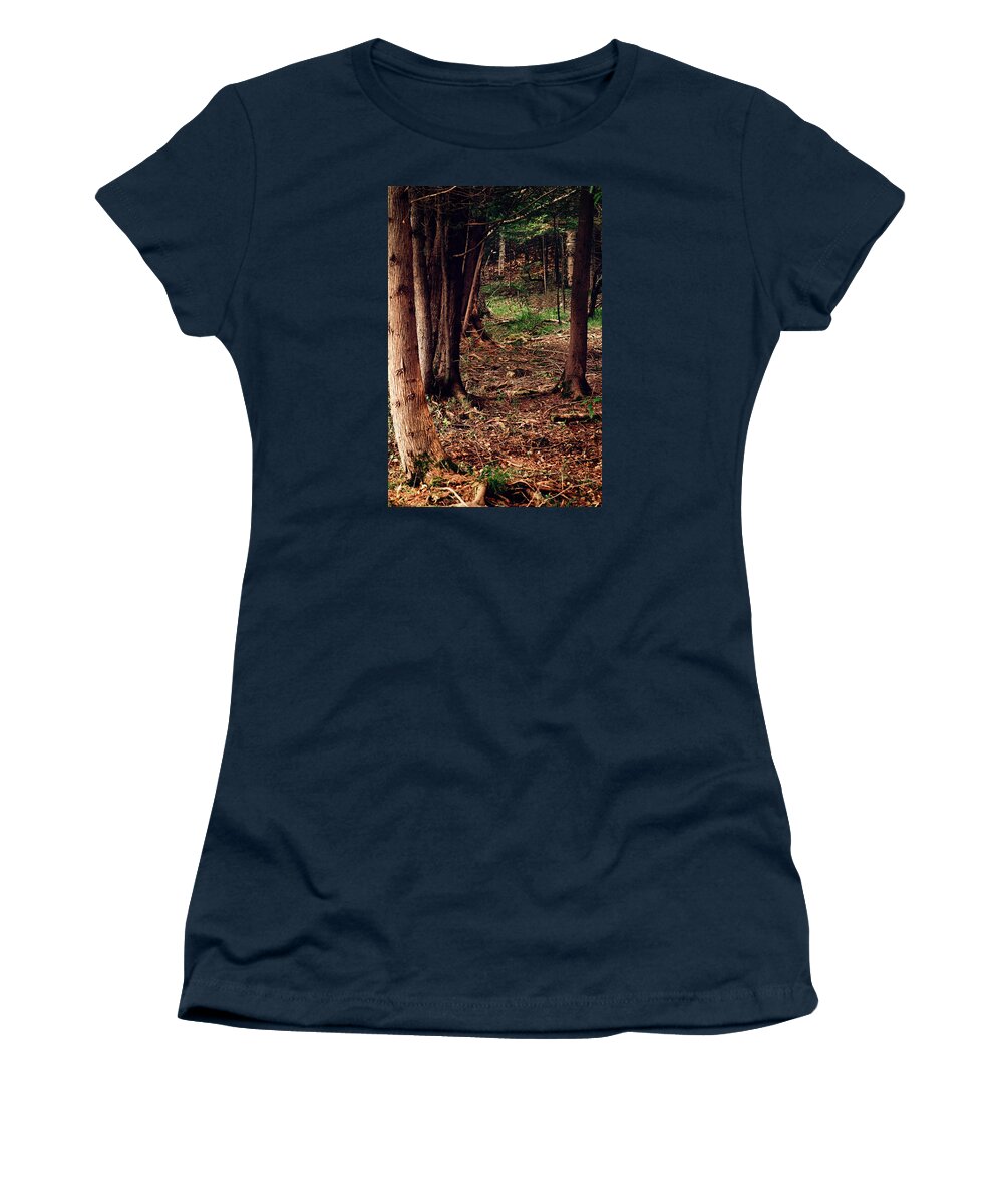 Forest Print Women's T-Shirt featuring the photograph A Walk in the Forest by Gwen Gibson