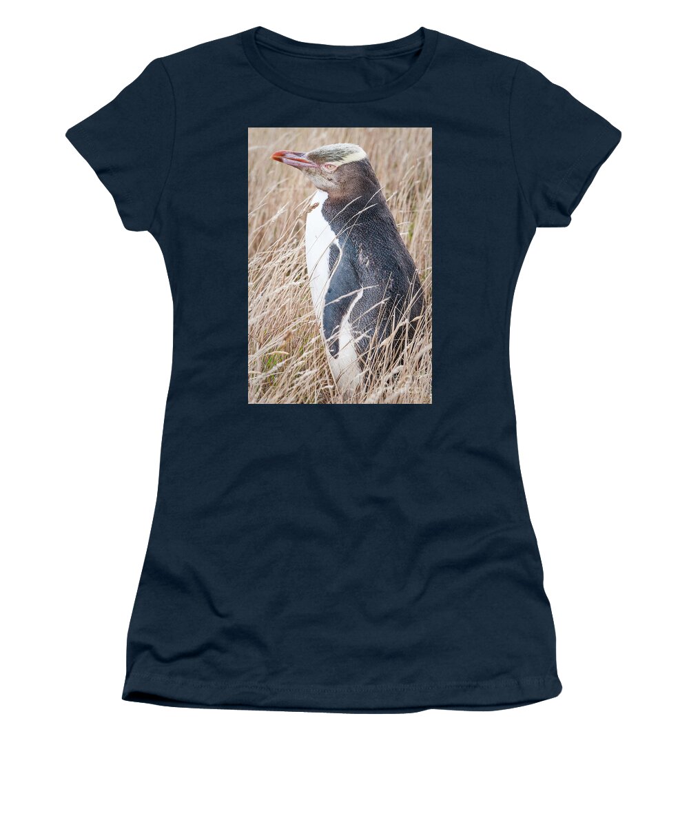 Yellow-eyed Penguin Women's T-Shirt featuring the photograph Adult Yellow-eyed Penguin 2 by Werner Padarin