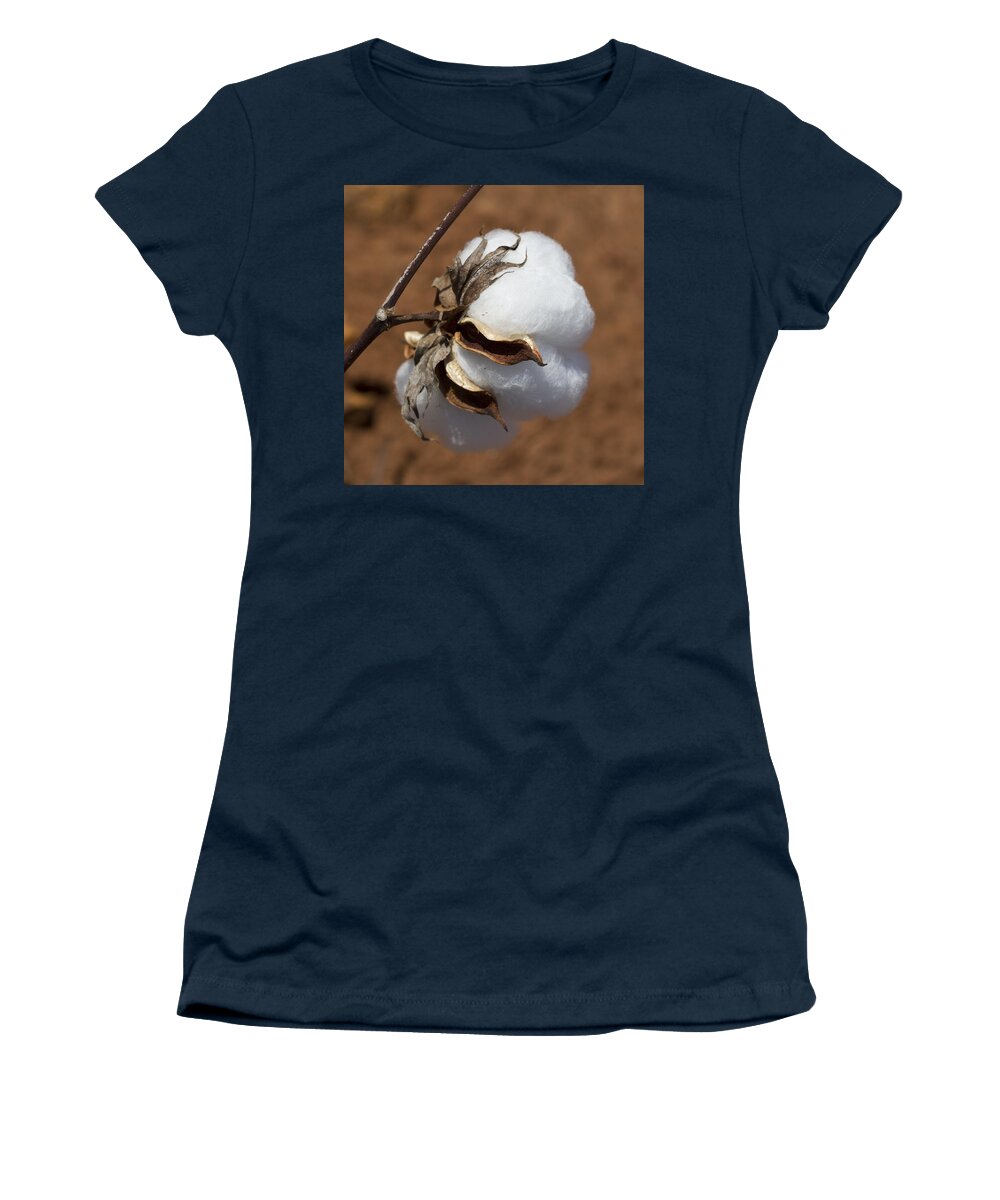 Cotton Women's T-Shirt featuring the photograph Alabama Gold by Kathy Clark