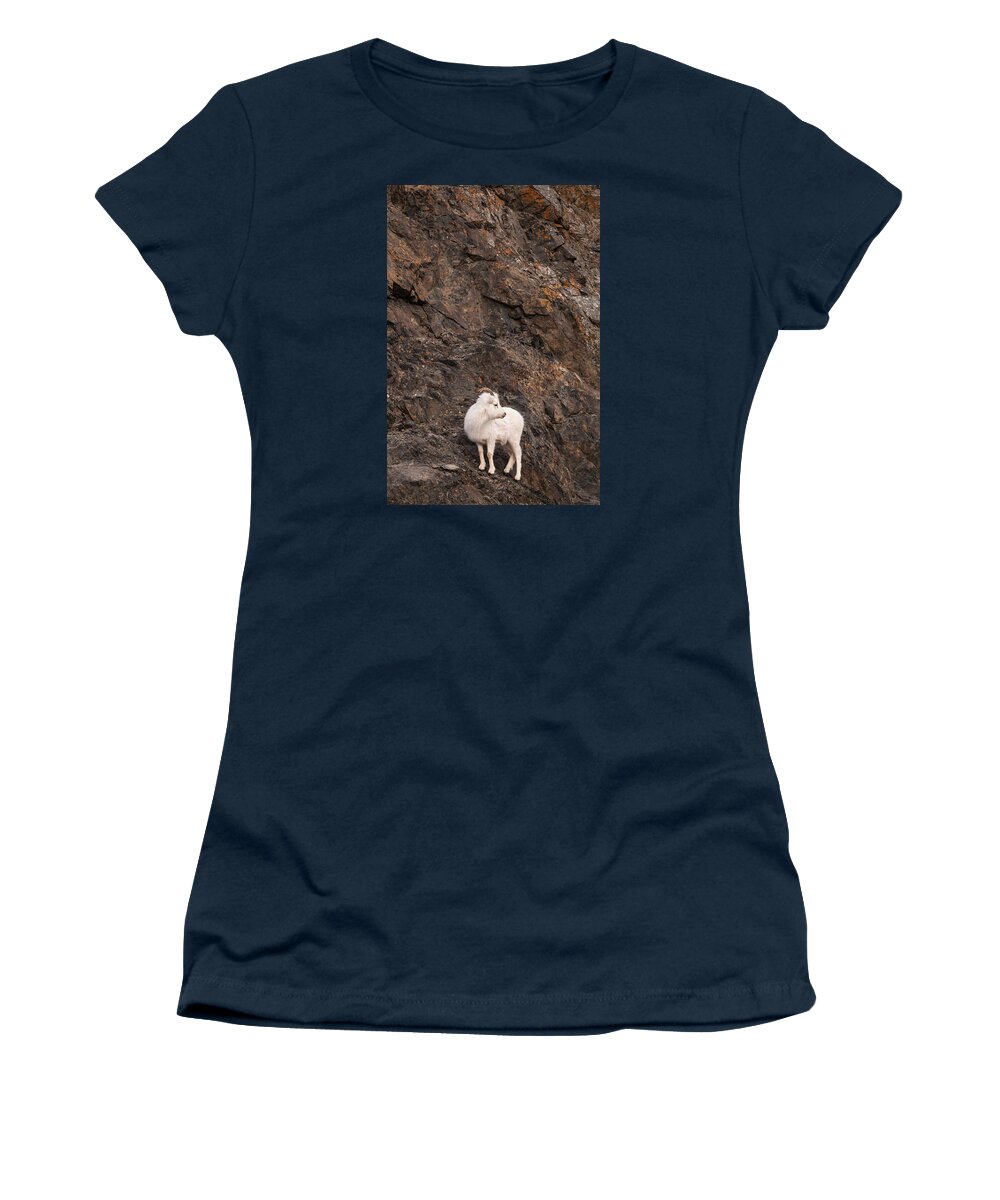 Alaska Women's T-Shirt featuring the photograph Alaska Dall sheep by Scott Slone