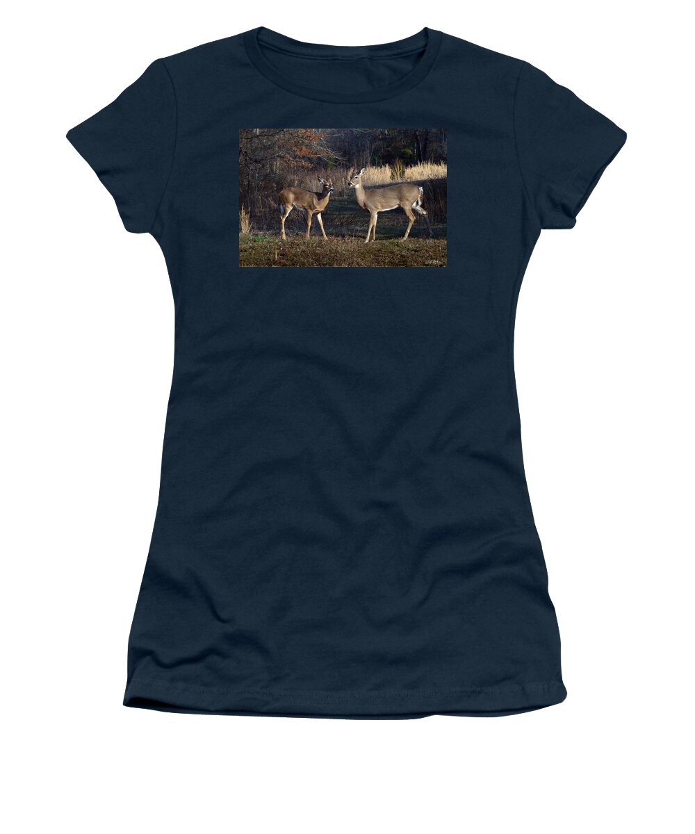 Deer Women's T-Shirt featuring the photograph Almost Spring by Bill Stephens