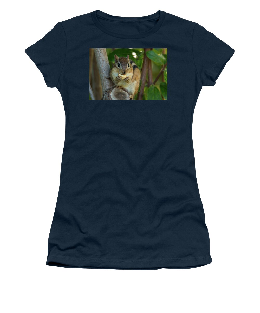 Alvin Chipmunk Nature Wildlife Wild Life Wilderness Outside Outdoors Natural Eating Snack Tree Ma Mass Massachusetts Brian Hale Brianhalephoto Women's T-Shirt featuring the photograph Alvin Eating 2 by Brian Hale