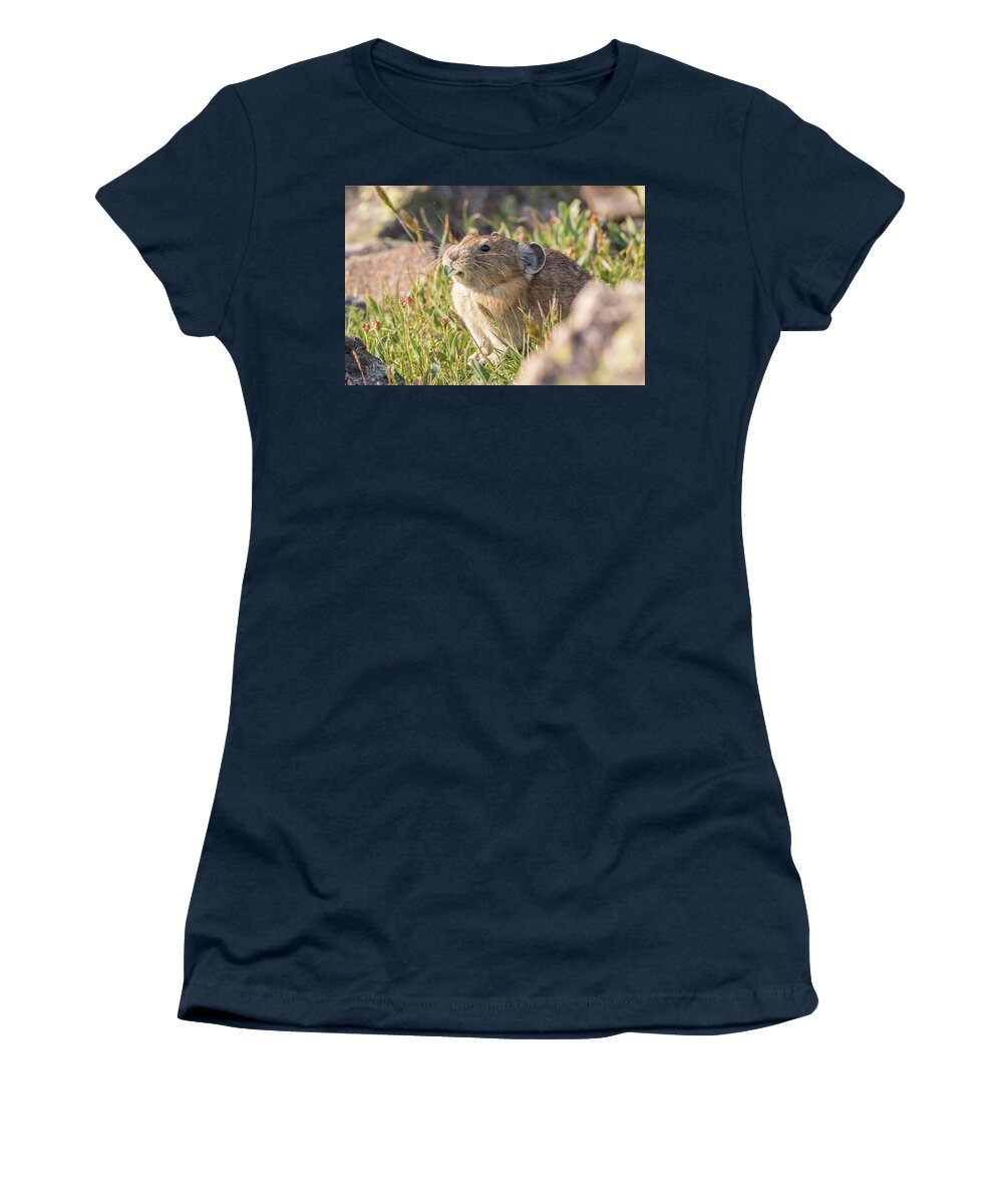 Pika Women's T-Shirt featuring the photograph American Pika Enjoys a Snack by Tony Hake