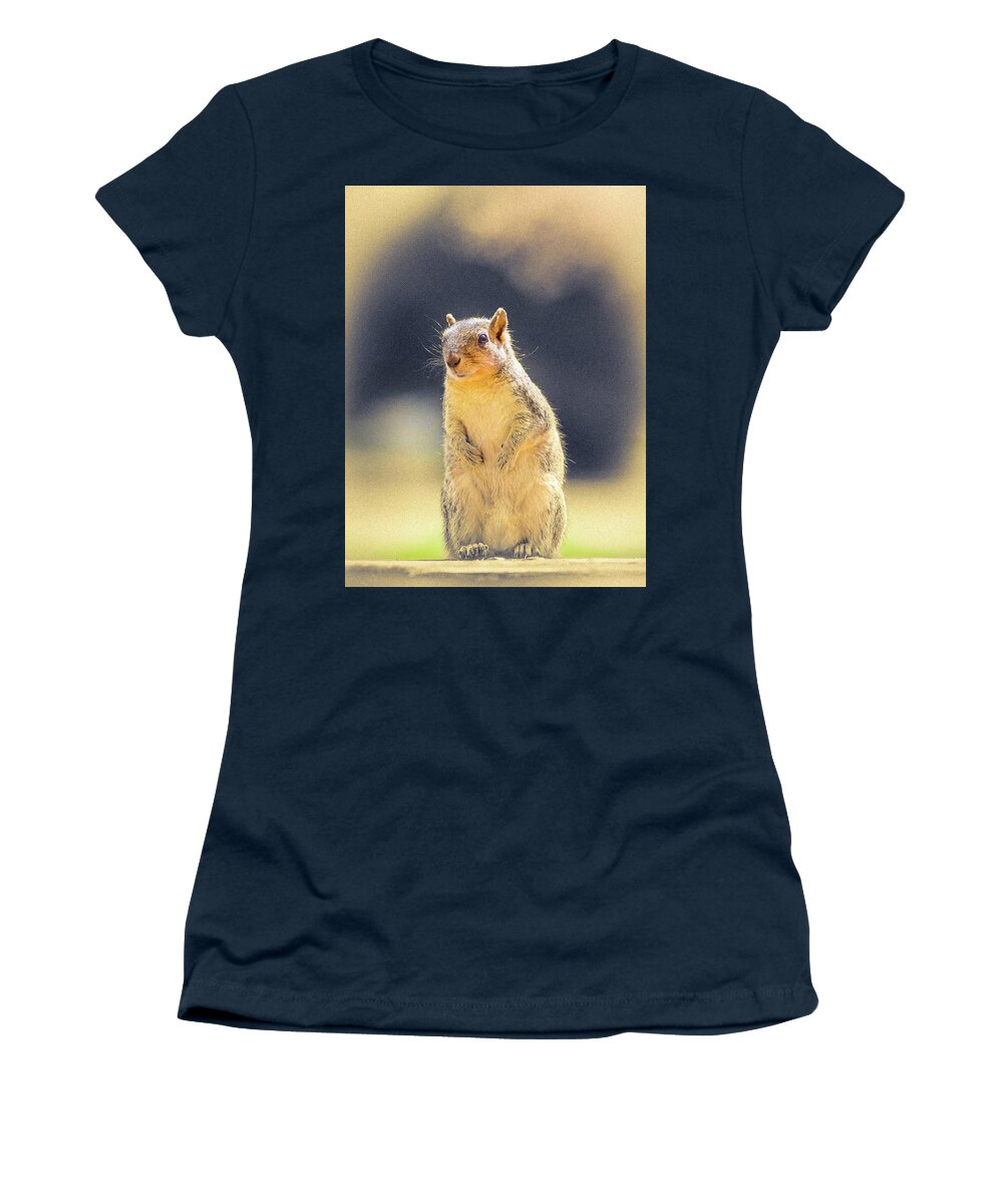5dmkiv Women's T-Shirt featuring the photograph American Red Squirrel by Mark Mille