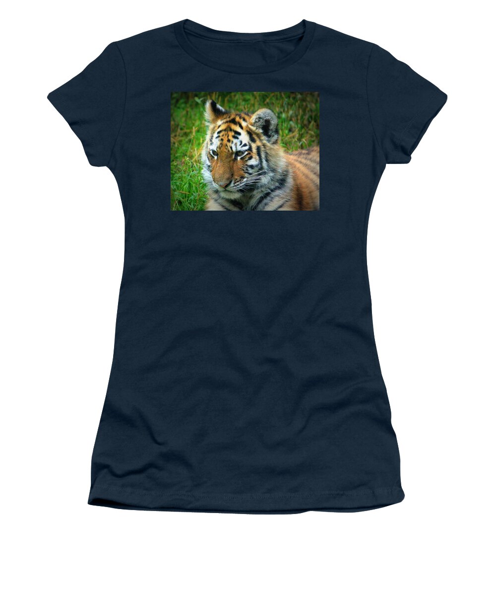 Amur Women's T-Shirt featuring the photograph Amur Tiger Cub by John Olson