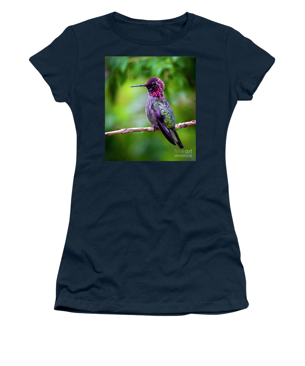 Birds Women's T-Shirt featuring the photograph Anna Humming Bird by Sal Ahmed
