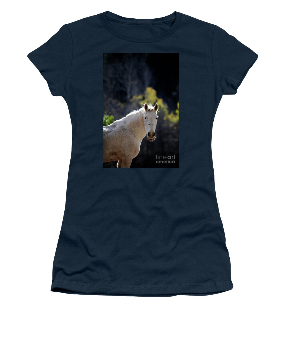 Rosemary Farm Women's T-Shirt featuring the photograph Annie #2 by Carien Schippers