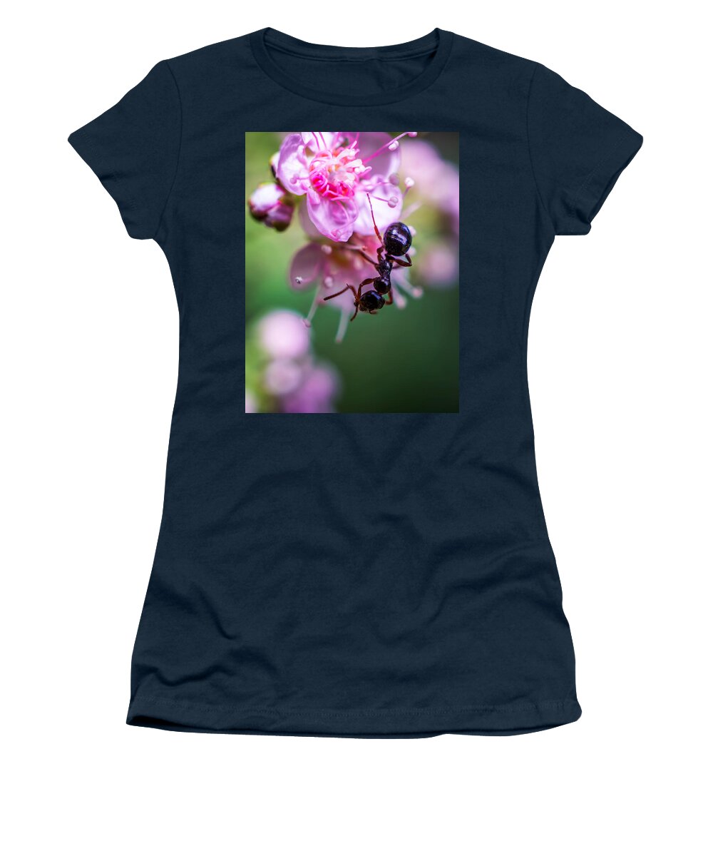 Ant On The Pink Flower Women's T-Shirt featuring the photograph Ant on the pink flower by Lilia D